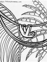 Amazon Rainforest Coloring Pages sketch template