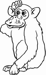 Chimpanzee coloring Page  Free Printable Coloring Pages sketch template