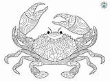 Crab Coloring Free Printable Crab Coloring Pages For Kids  Animal sketch template