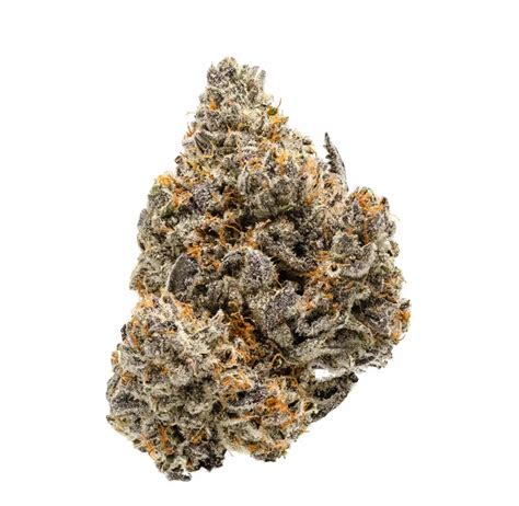 White Buffalo Strain | Cannabis Strains Info | Flavor Fix