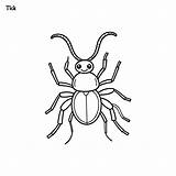 Tick Handdrawn coloring Page And Outline Vector Design  Premium AI sketch template