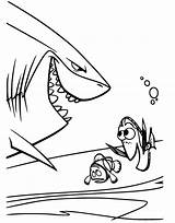 Bruce From Finding Nemo Coloring Pages sketch template