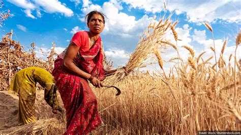 Why Women Farmers Are Losing Jobs, Earnings, Savings Even As Agriculture 'Booms'