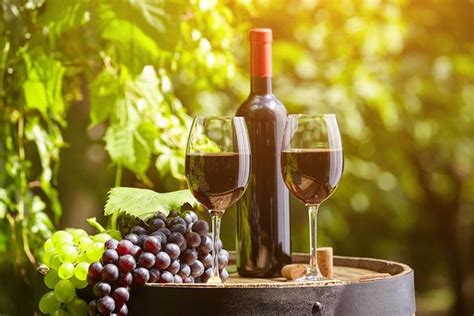 Wine tasting tours | Best self-respecting resort city