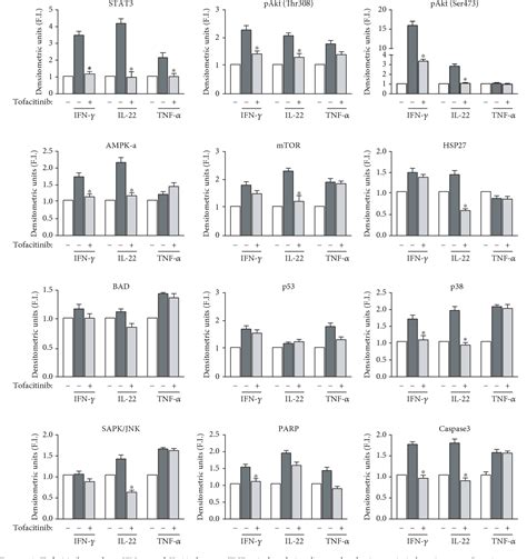 Figure 2 from Selective Immunomodulation of Inflammatory Pathways in Keratinocytes by the Janus ...