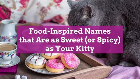 Food-Inspired Names that Are as Sweet (or Spicy) as Your Kitty - video ...