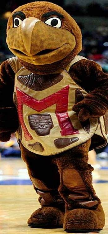 Maryland Terrapins - Testudo mascot | College Mascots | Pinterest