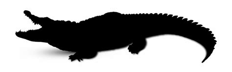 Tribal Alligator Svg Files For Cricut Black White Vec - vrogue.co
