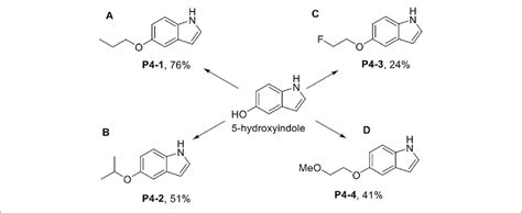 Scheme 1 | Synthesis of P4-1 to P4-4. Reagent and conditions: (A) NaH,... | Download Scientific ...