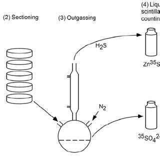 14 Principle of sulfate reduction measurement in sediment using 35 SO ...