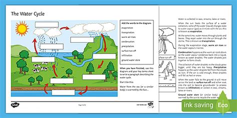 Explain the Water Cycle in your Own Words Worksheet - Twinkl