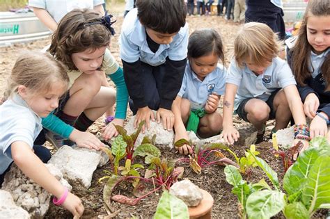 School Gardens - Sustainable Food Center