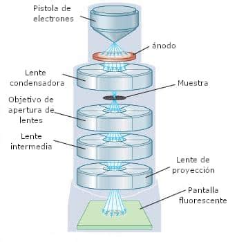 Amfibi elbise garaj Tatil kadınsı deneysel partes de un microscopio petrografico - wildernessev.net