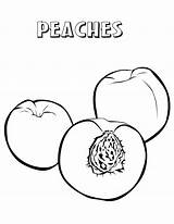 Two Peaches And A Half Coloring Page  Free Printable Pages sketch template
