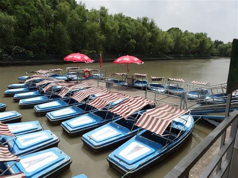 Century Park (Shanghai) - 2019 All You Need to Know BEFORE You Go (with Photos) - TripAdvisor