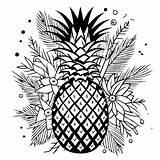 Floral pineapple coloring Page Lulu Pages sketch template