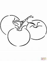 Three Tomatoes coloring Page  Free Printable Coloring Pages sketch template