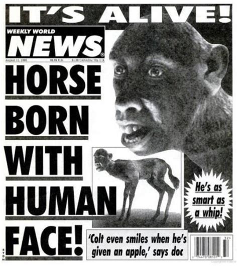 You Won't Be Able to Stop Laughing at These Ridiculous Tabloid Headlines