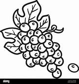 New Year Grapes Isolated Coloring Page For Kids Stock Vector Image  sketch template