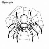 Trapdoor Spider coloring Page And Outline Vector Design  Premium AI sketch template