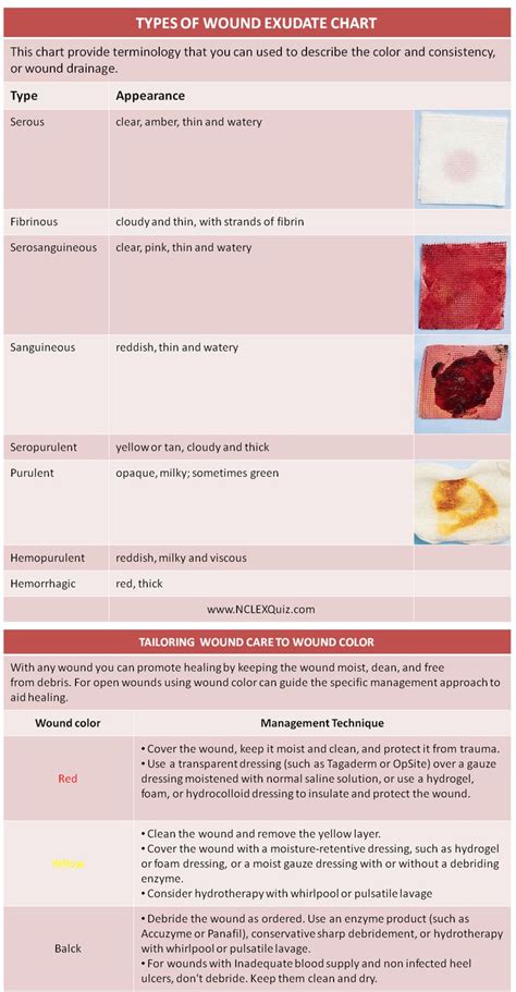 Types of Wound Exudate Cheat Sheet | Wound care nursing, Home health nurse, Nursing school studying