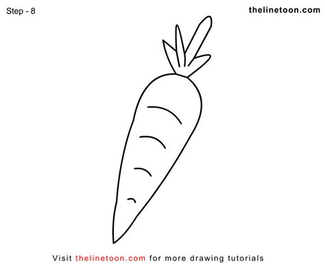 Carrot Drawing at PaintingValley.com | Explore collection of Carrot Drawing