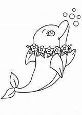 Free & Easy To Print Dolphin Coloring Pages  sketch template