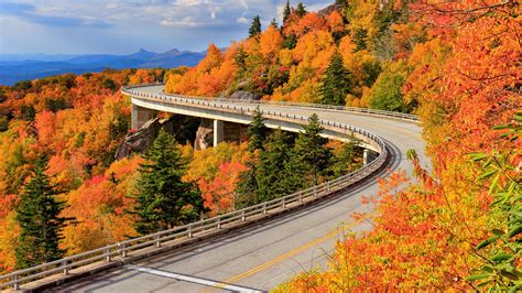Beautiful scenes along the Blue Ridge Parkway | Fall road trip, Fall foliage road trips, Road ...