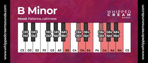 B Minor Chord Scale, Chords in The Key of B Minor