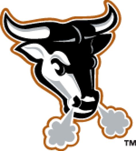 Durham Bulls PNG File - PNG Mart