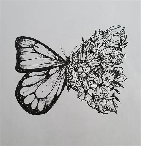 Floral Butterfly Drawing by Paige Lindner | Pixels