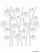 Bamboo coloring Pages sketch template