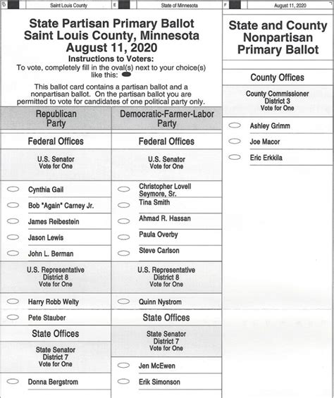 Duluth 2020 Primary Election Sample Ballot - Perfect Duluth Day