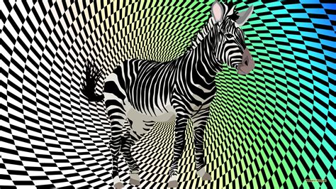 Zebra Wallpapers - 4k, HD Zebra Backgrounds on WallpaperBat