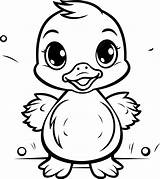 Baby Duck Coloring Page sketch template
