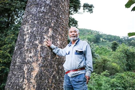 Những cánh chim không mỏi - Báo Lâm Đồng điện tử