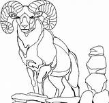 Three Billy Goats Gruff Coloring Pages At GetColoringscom  Free sketch template