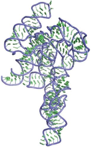 The Molecular Interactions That Stabilize RNA Tertiary Structure: RNA ...