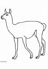 Freebies Coloring Pages  Free Printable For Kids And Adults sketch template