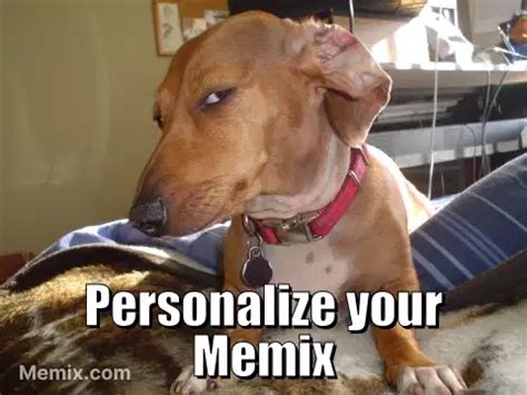 Skeptical Dog Meme, GIF - Share with Memix