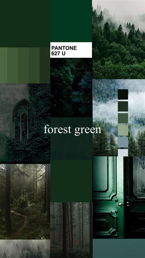 #green#forest#forestgreen#colorcollage | Forest green bedrooms, Dark ...