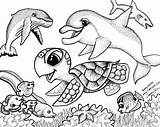 Coloring  More Arts Crafts Puzzles And Games On The Keiki Page sketch template