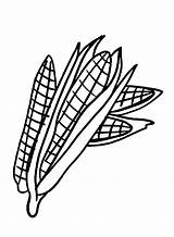 Corn Coloring Printable Pages Candy Stalk Drawing Cob Color Popcorn  sketch template