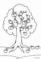 Free Printable Tree Coloring Pages For Kids  Cool2bKids Tree sketch template