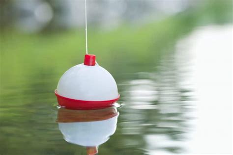 7 Best Fishing Bobbers (and yes, it makes a difference!) – Outdoor Troop