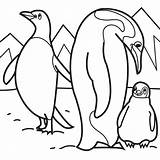 Arctic Animals Coloring Pages For Preschoolers At GetDrawings  Free sketch template