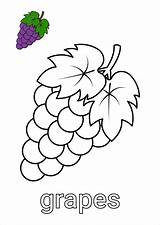 Premium Vector  Grapes Coloring Page For Kids sketch template