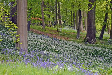 10 of the best Cotswold gardens to visit - Classic British Hotels