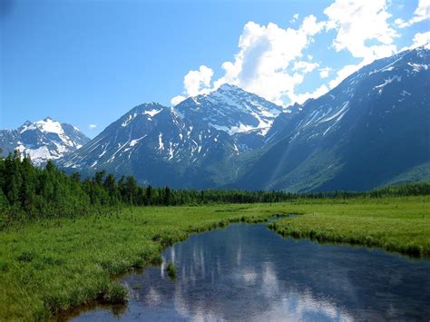 Eagle River Nature Center | Not A Moment Too Soon | Places worth visiting, Nature center, Eagle ...