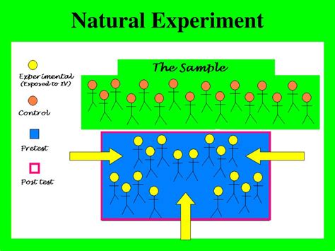 PPT - BHV 390 Experiments PowerPoint Presentation, free download - ID:4626274